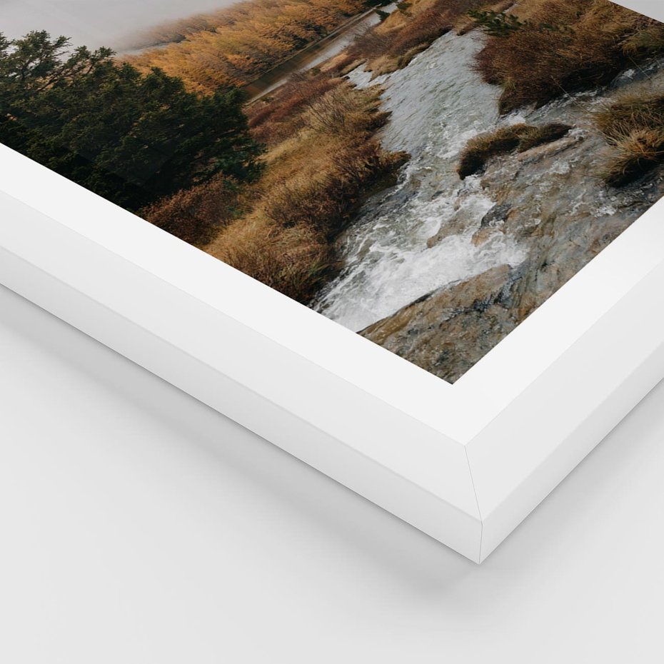 Plakat w ramie 50x70 - W Górskiej Dolinie - artystyczna fotografia, las - rama biała