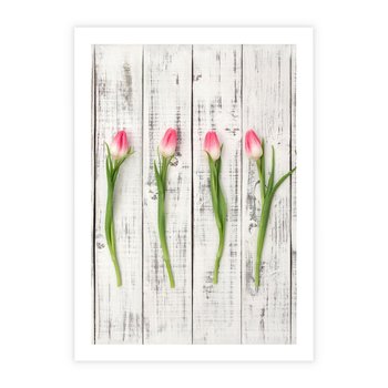 Plakat bez ramy 50x70 - Kwintesencja Piękna - kwiaty, tulipany