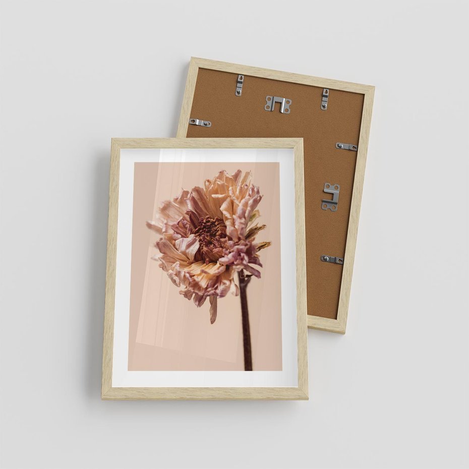 Plakat w ramie 30x40 - Delikatne piękno - suche, kwiaty - rama drewno