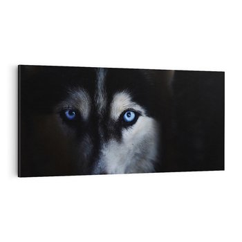 Obraz na płótnie 100x50 - Wilk i husky: siła przyjaźni - wilk, husky