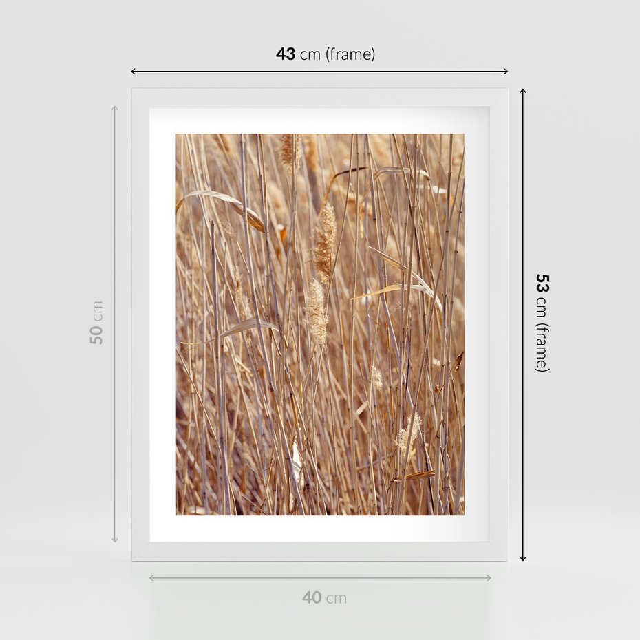 Plakat w ramie 40x50 - Mistrzowskie suche trawy - suche, trawy - rama biała