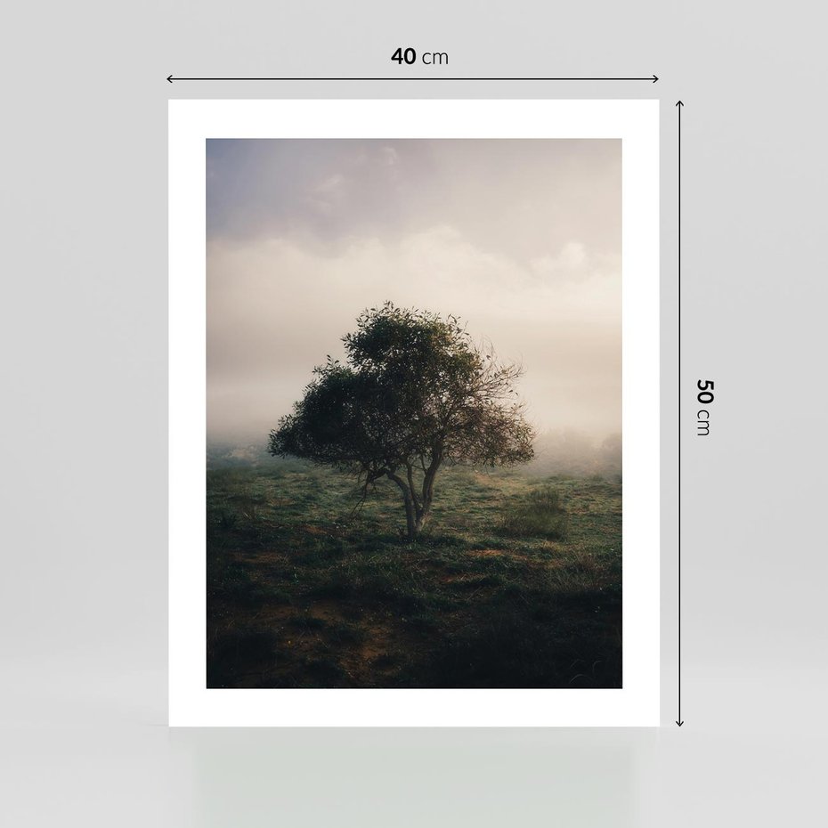 Plakat bez ramy 40x50 - Zamglona Prostota - artystyczna fotografia, samotne drzewo na zamglonej łące