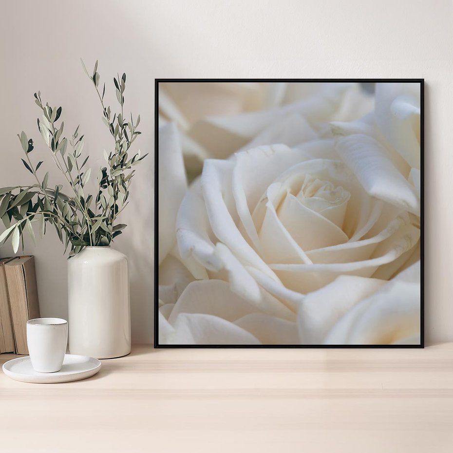 Obraz w ramie 50x50 - Białe róże piękności - białe, róże - rama czarna