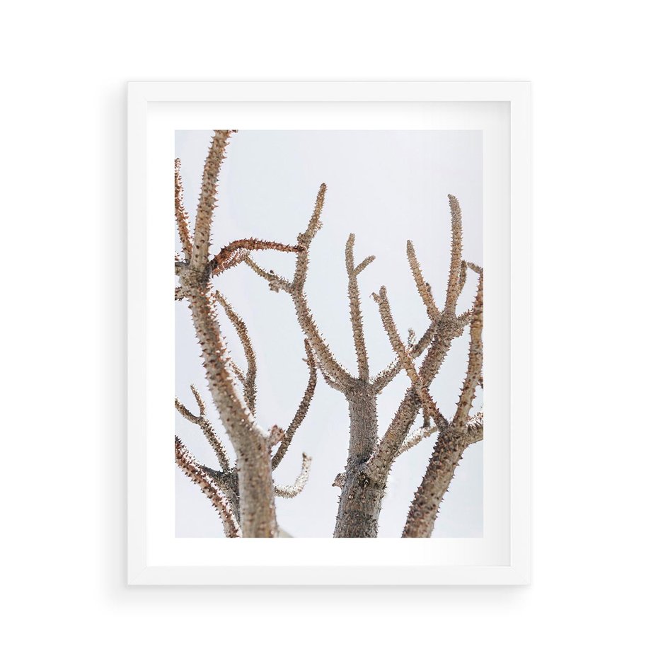 Plakat w ramie 40x50 - Pustynna Harmonia Gałęzi - pustynna roślina, suche gałęzie - rama biała