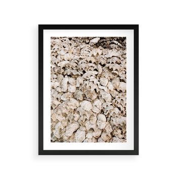 Plakat w ramie 30x40 - Symfonia Natury - kompozycja z białych muszli - rama czarna
