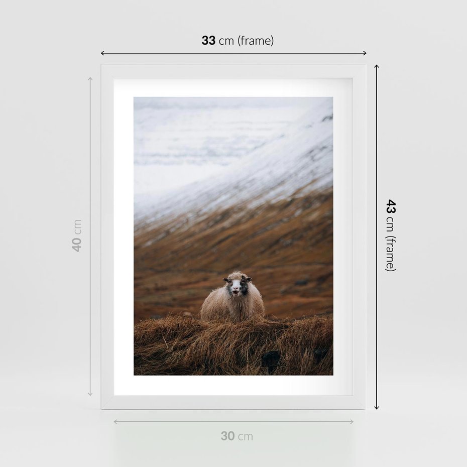 Plakat w ramie 30x40 - Owiecka panorama - góry, owca - rama biała