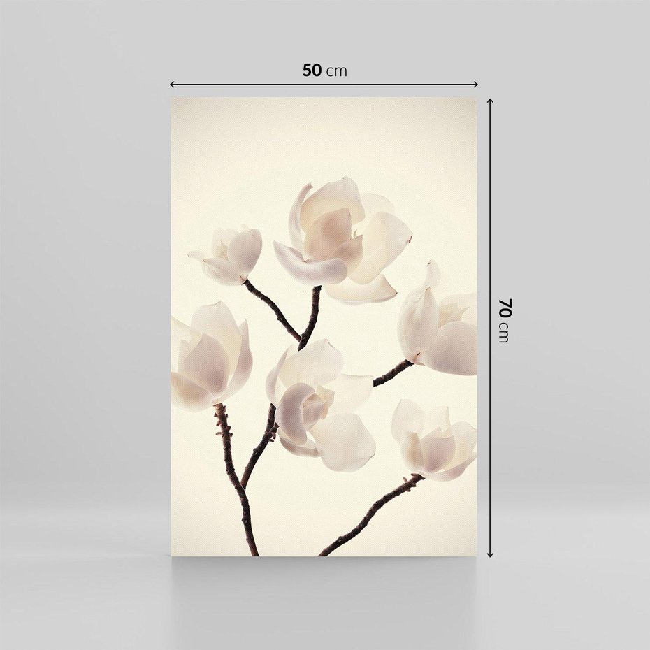Obraz na płótnie 50x70 - Elegancja Natury - magnolia, białe