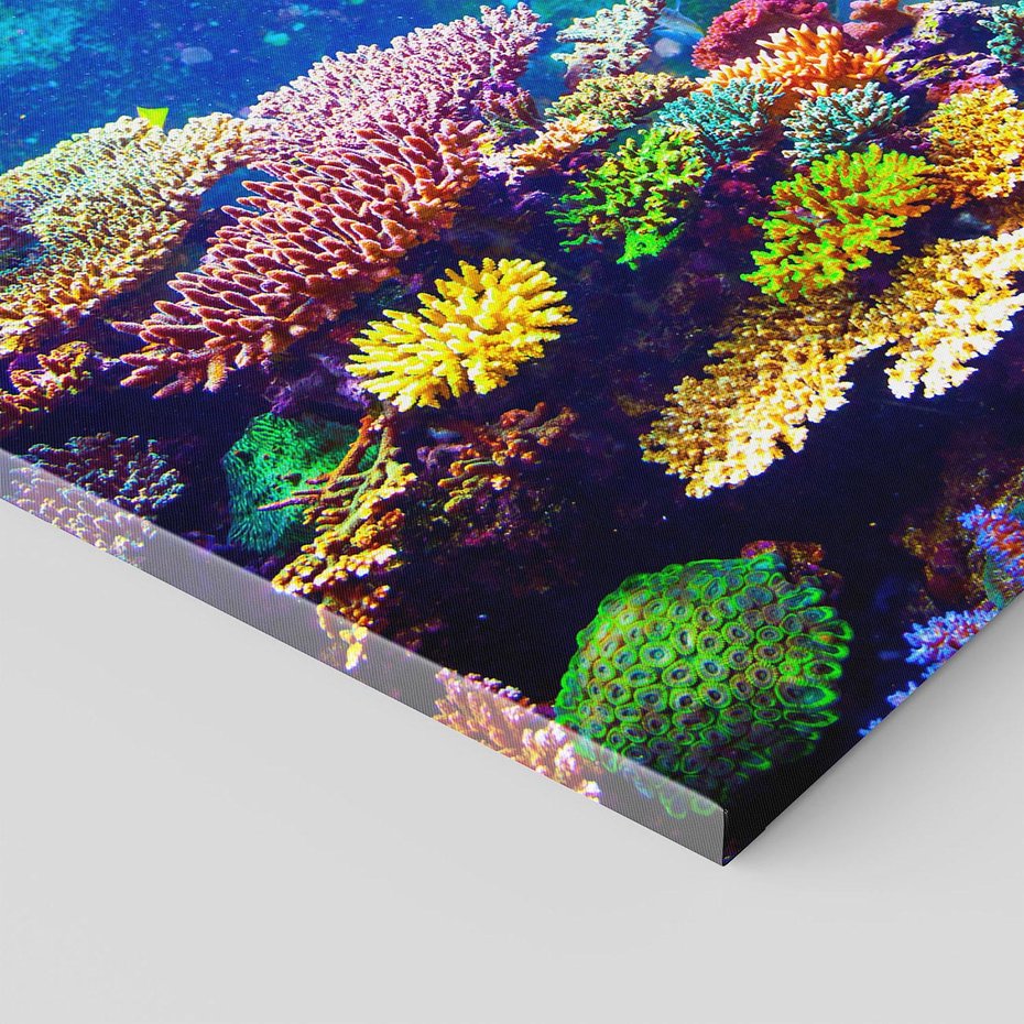 Obraz na płótnie 100x70 - Podwodne Zaczarowanie - kolorowa rafa koralowa, ukwiały