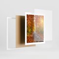 Plakat w ramie 40x50 - Kolorowe drzewa na ścieżce jesieni - las, jesień - rama biała