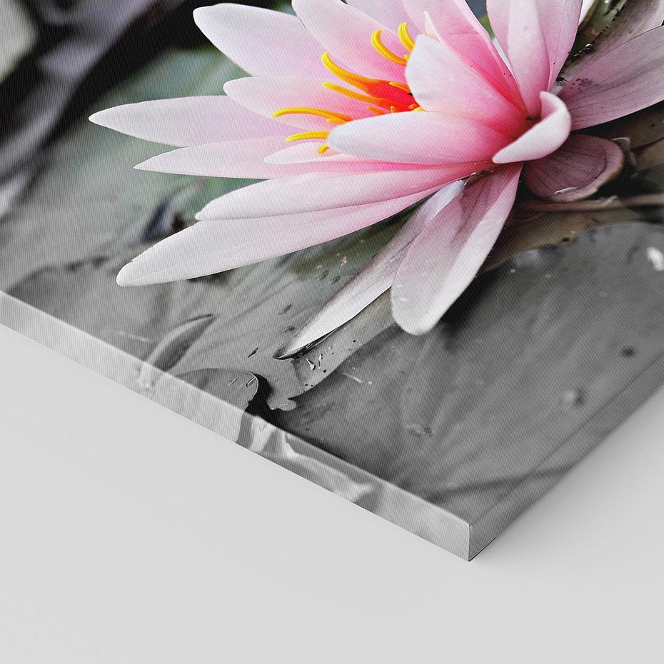 Obraz na płótnie 40x40 - Liliowy kwiat - lilia, kwiat