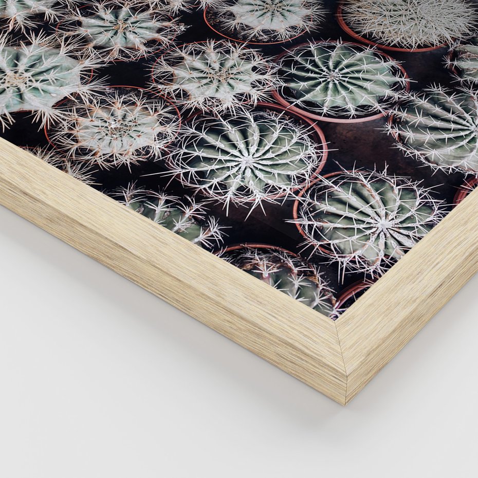 Zestaw obrazy w ramie 40x50 galeria - Kaktusy, liście, boho - rama drewno