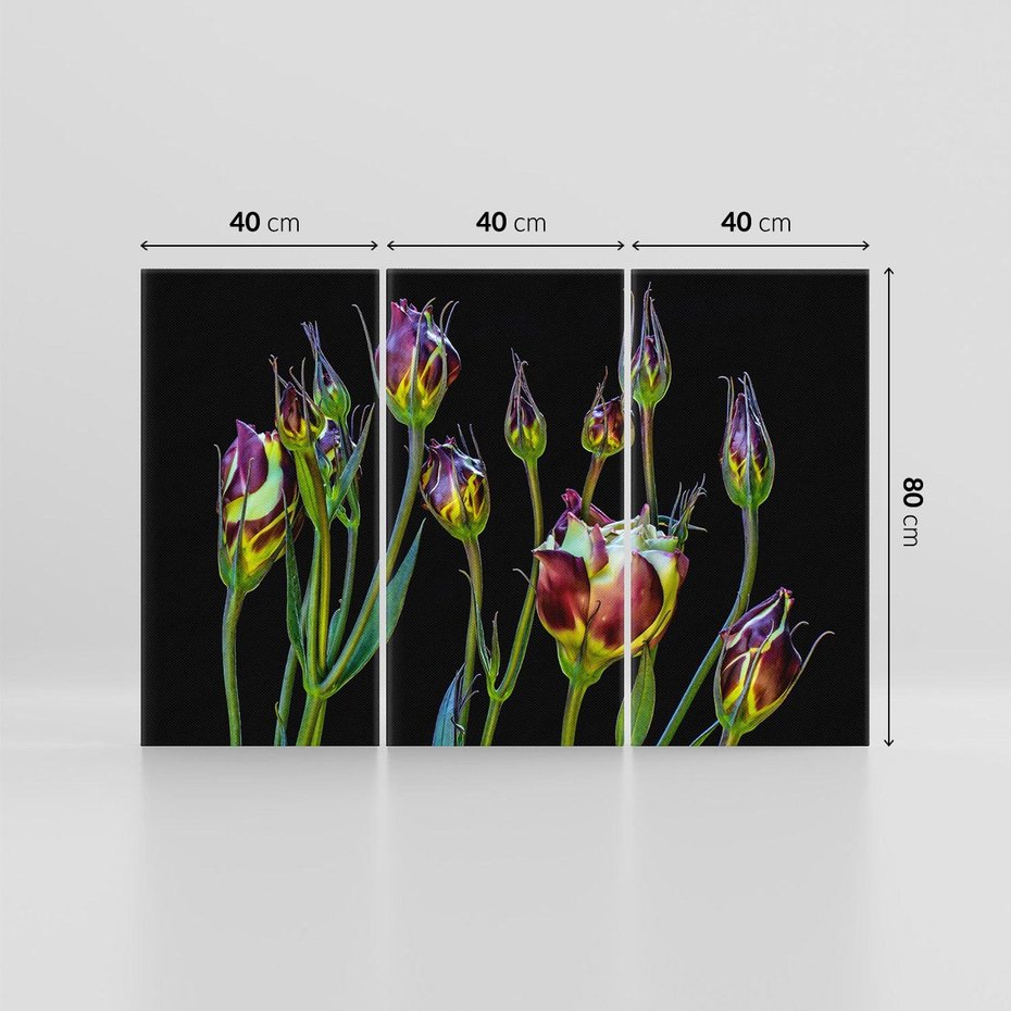 Obraz na płótnie 120x80 - urok kwiatów - kwiat, kwiaty