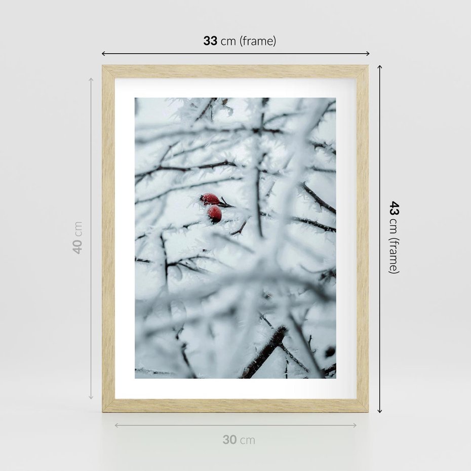 Plakat w ramie 30x40 - Zima w Detalu: Gałęzie ze Szronem i Śniegiem - śnieg, zima - rama drewno