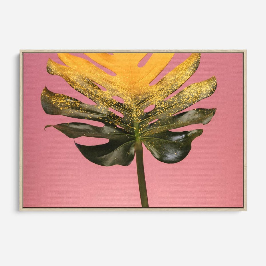 Obraz w ramie 70x50 - Majestatyczna monstera - monstera, liść - rama drewno