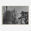 Obraz w ramie 70x50 - Pustynny Klimat - czarno białe zdjecie, pustynia - rama drewno