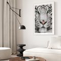 Plakat bez ramy 30x40 - Magia Białego Tygrysa - biały, tygrys