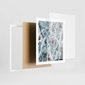 Plakat w ramie 40x50 - Zima na Gałęziach - zima, oszronione gałęzie - rama biała