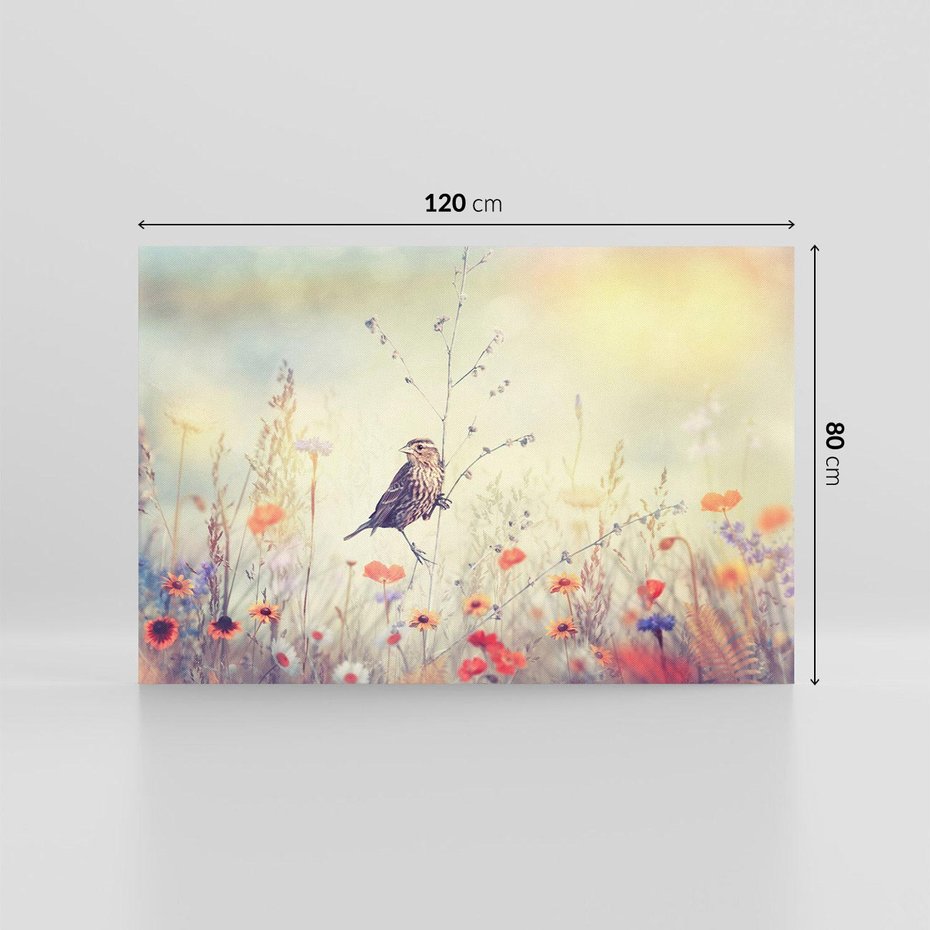 Obraz na płótnie 120x80 - Poranek wśród łąki - ptak, łąka