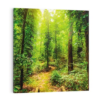 Obraz na płótnie 40x40 - Współistnienie z naturą - drzewa, las
