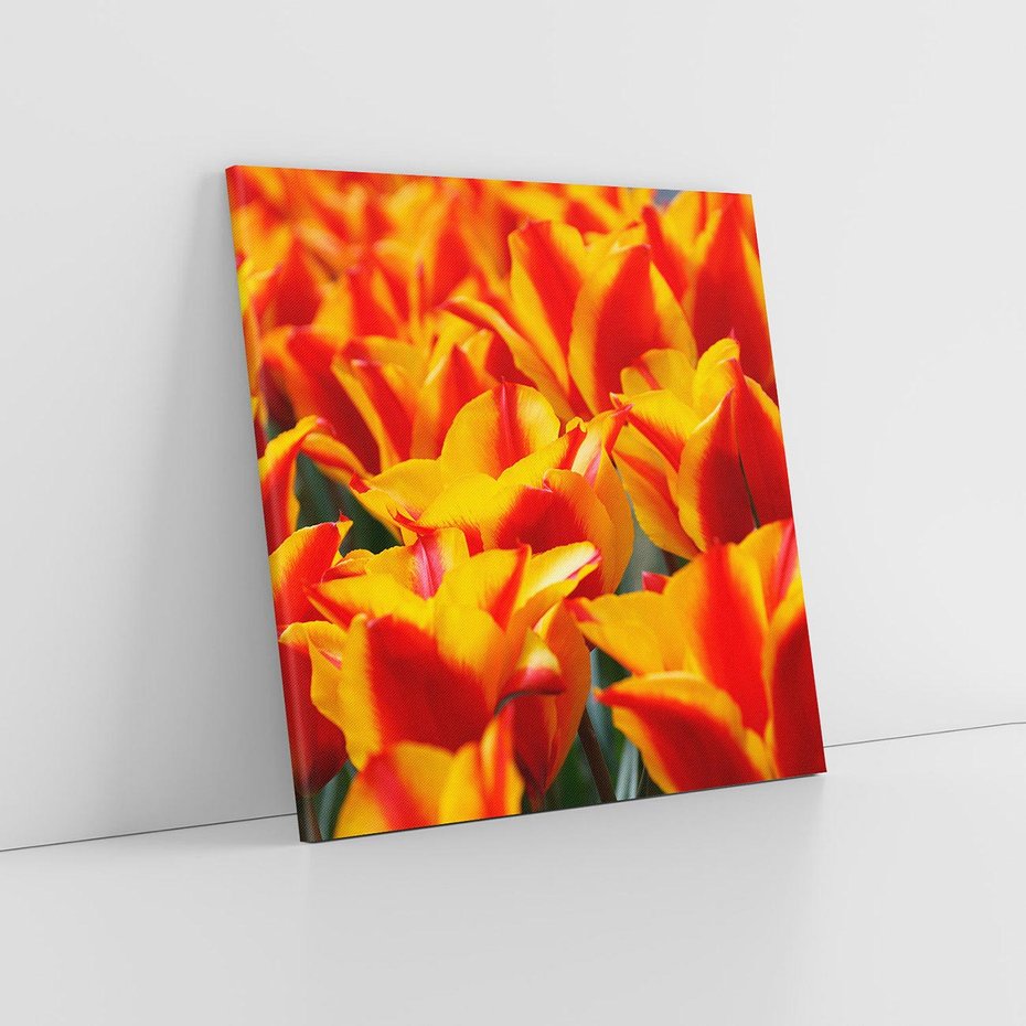 Obraz na płótnie 60x60 - Kwiatowa natura - kwiat, kwiaty