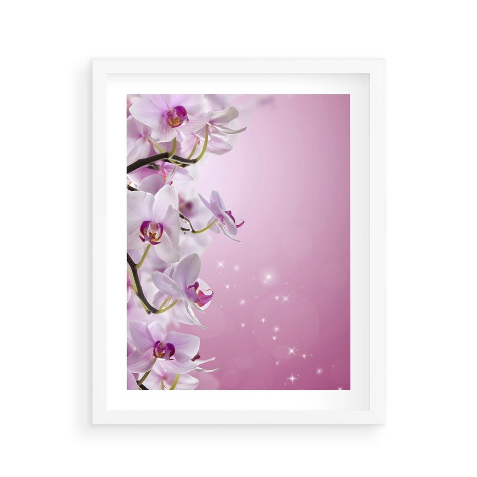 Plakat w ramie 40x50 - Relaksujące Piękno - kwiaty, orchidea - rama biała