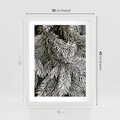 Plakat w ramie 30x40 - Cisza Zimowej Natury - zima, iglaste gałązki - rama biała