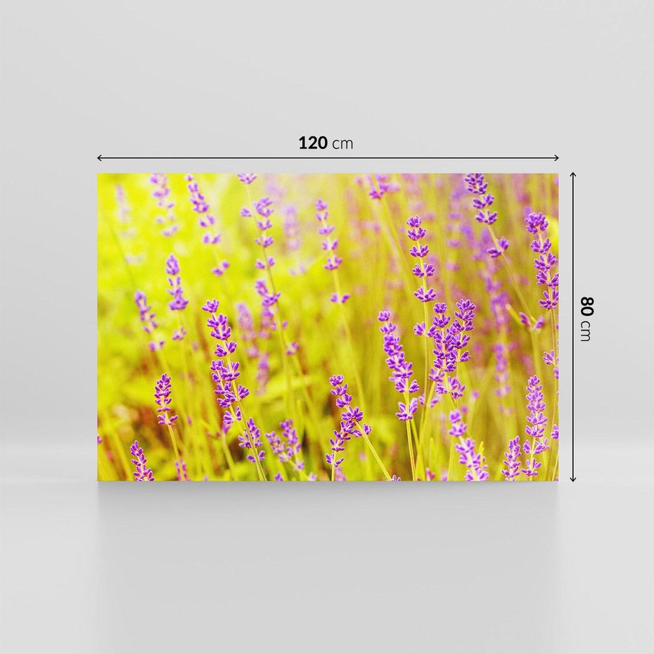 Obraz na płótnie 120x80 - Delikatność natury - lawenda, kwiaty