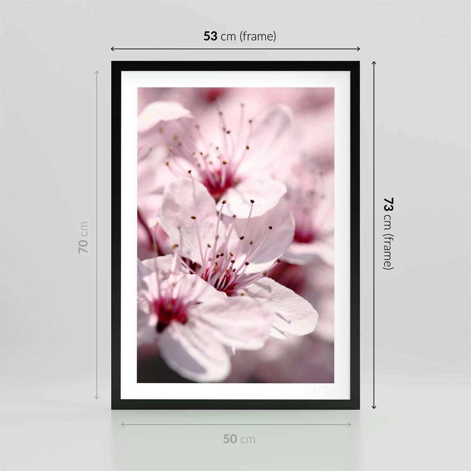Plakat w ramie 50x70 - Kwitnąca Wiśnia - kwiaty, kwitnąca - rama czarna