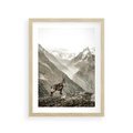 Plakat w ramie 30x40 - Dzikie Piękno: Kozica w Malowniczym Górskim Scenerii - kozica, góry - rama drewno