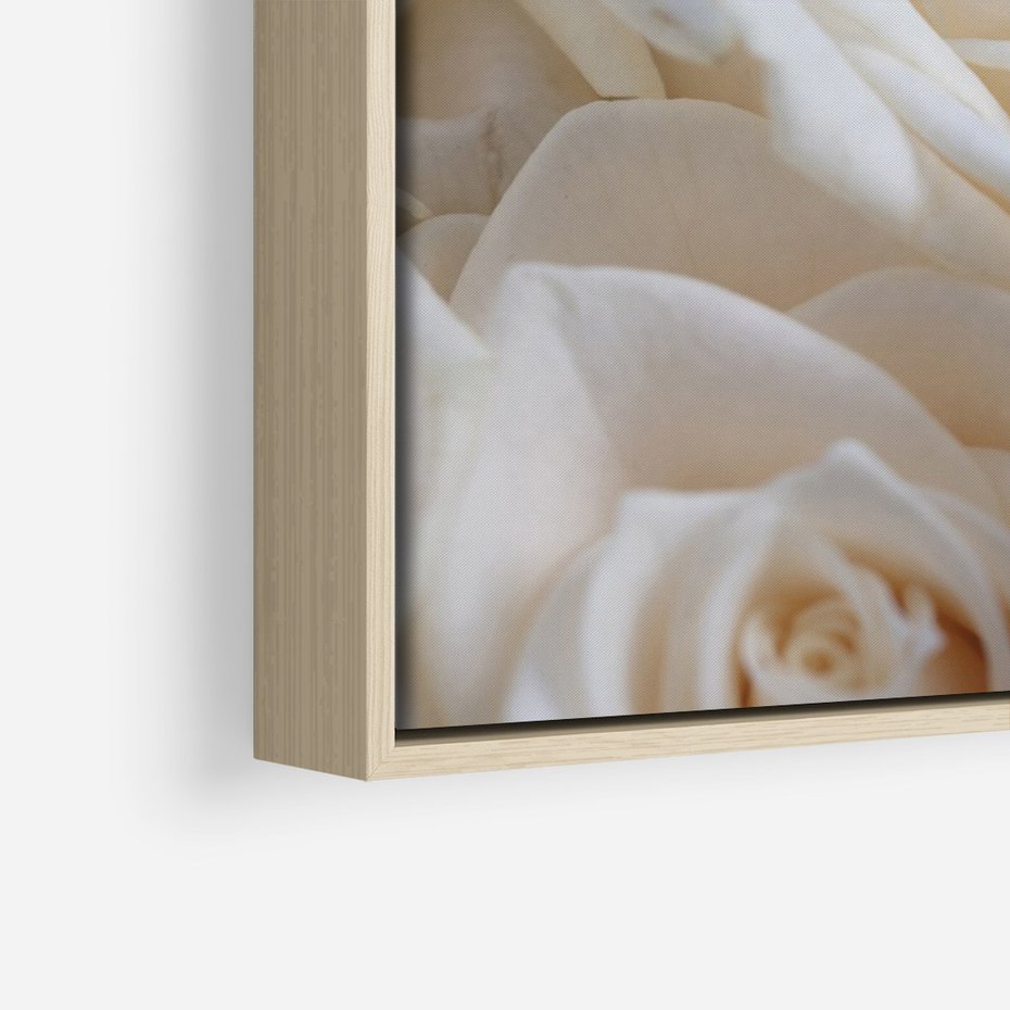 Obraz w ramie 80x120 - Białe róże piękności - białe, róże - rama drewno