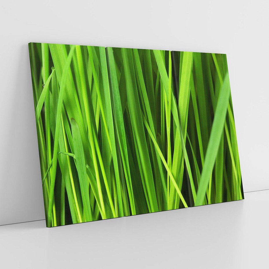 Obraz na płótnie 120x80 - Trawa w abstrakcji: natura przekształcona - trawa, abstrakcja