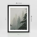 Plakat w ramie 40x50 - Mglista przemiana lasu - las, mgła - rama czarna