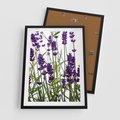 Plakat w ramie 50x70 - Fioletowa harmonia lawendy - lawenda, fiolet - rama czarna