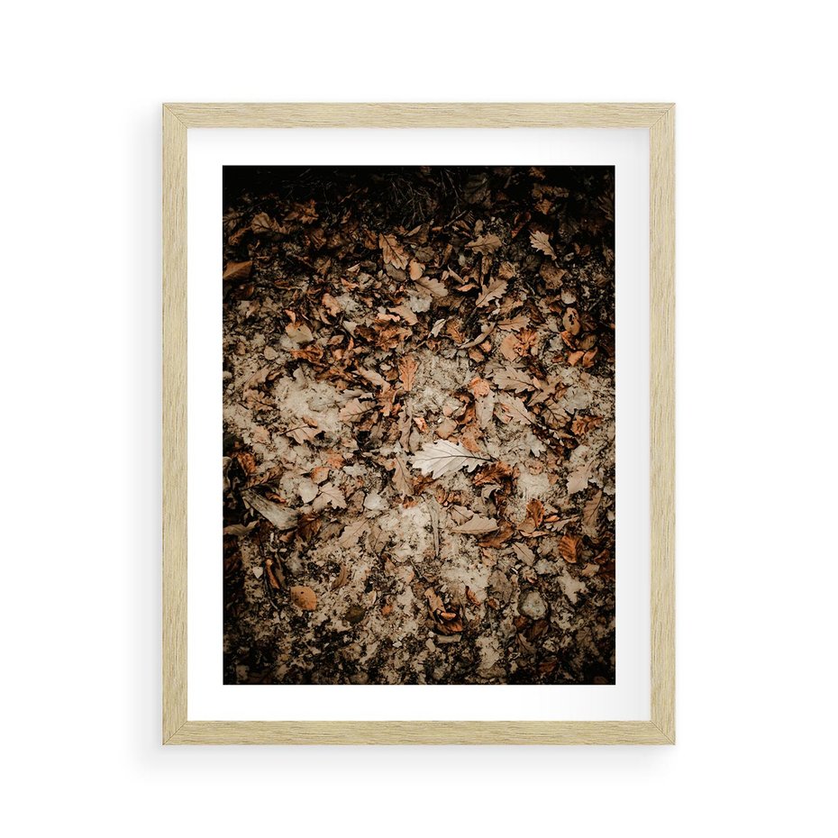 Plakat w ramie 40x50 - Suchość Liści w Brązowych Tonach - suche liście jesień brąz - rama drewno