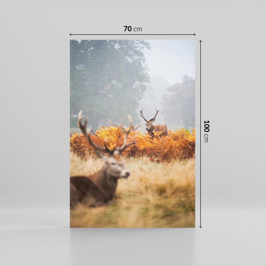 Obraz na płótnie 70x100 - Malownicza Harmonia - jelenie, jesień