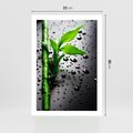 Plakat bez ramy 21x30 - Bambusowa Harmonia - bambus, liście