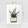 Plakat w ramie 30x40 - Eukaliptusowa harmonia - eukaliptus, liście - rama biała
