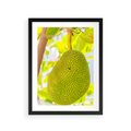 Plakat w ramie 30x40 - Tropikalny raj nad morzem - tropikalny, owoc - rama czarna