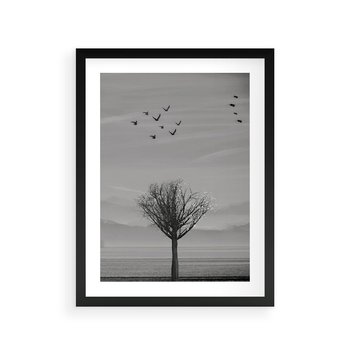 Plakat w ramie 30x40 - Samotne Drzewo - samotne drzewo w polu, czarno białe zdjęcie - rama czarna