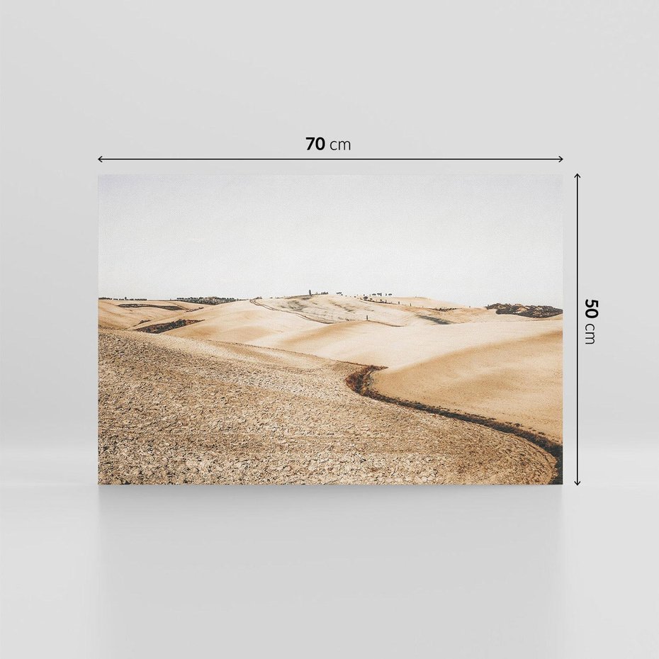 Obraz na płótnie 70x50 - Refleksyjny taniec myśli - pustynny krajobraz, odcienie sepii