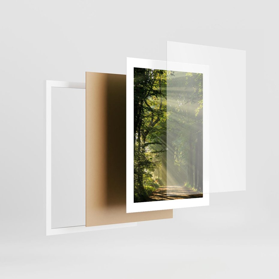 Plakat w ramie 30x40 - harmonia natury - las, drzewa - rama biała