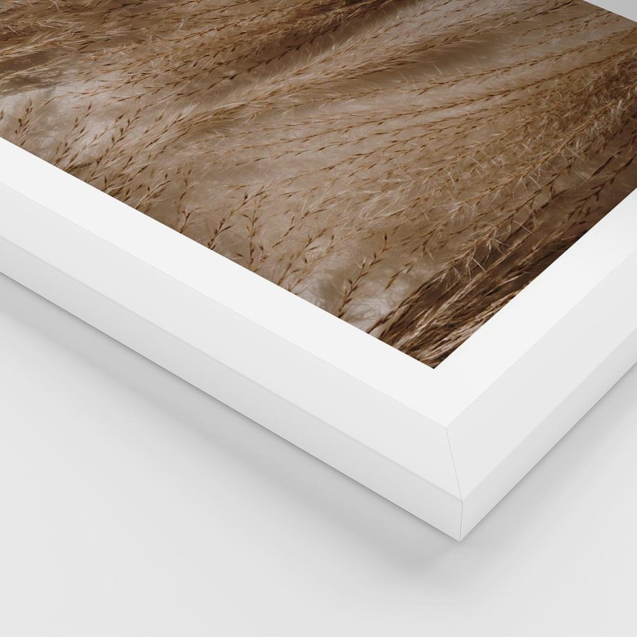 Plakat w ramie 50x70 - Pampasowy Brąz - suche trawy, trawa pampasowa - rama biała