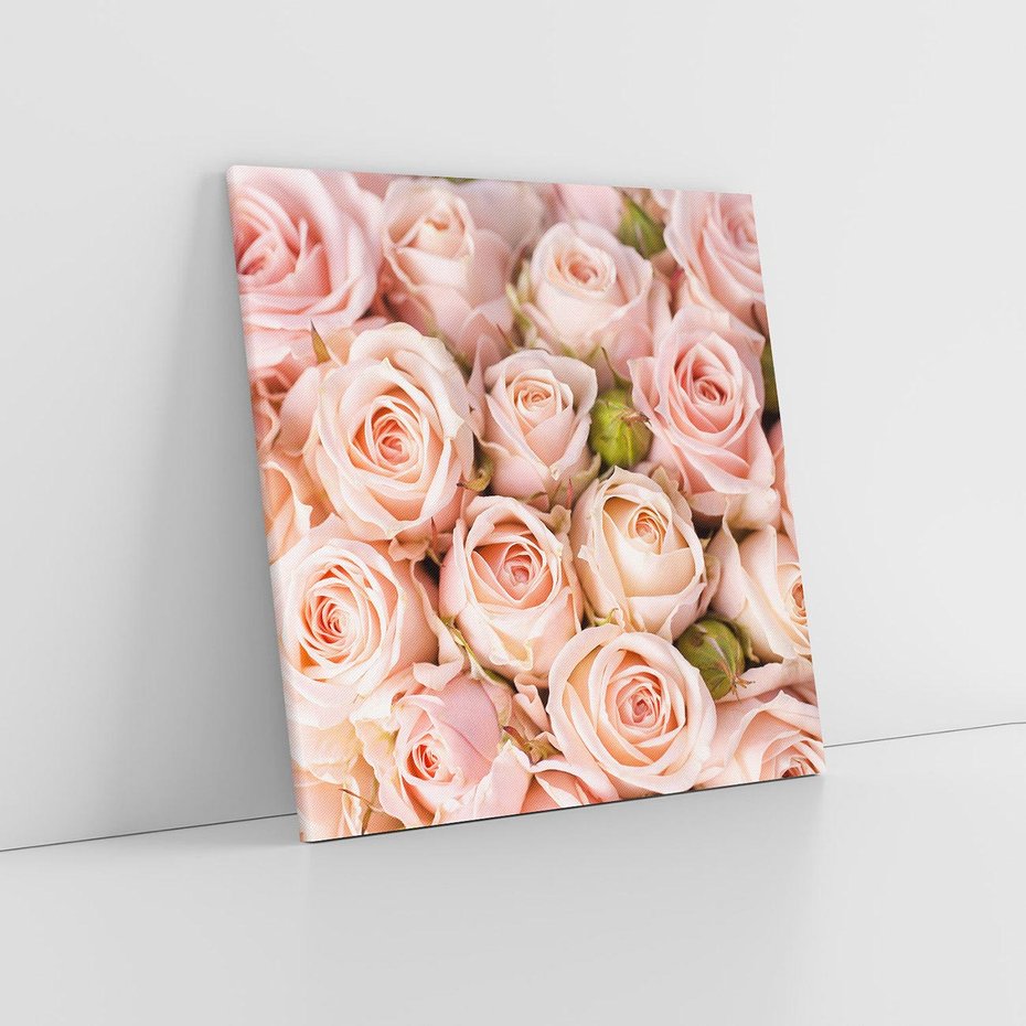 Obraz na płótnie 80x80 - Delikatność róż - piękno natury - róże, kwiaty