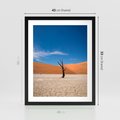 Plakat w ramie 40x50 - Słońce i Suche Drzewo - pustynia, suche - rama czarna