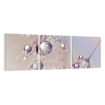 Obraz na płótnie 150x50 - Delikatne Natchnienie - krople, dmuchawce