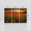 Obraz na płótnie 120x80 - Maki na łące: Przebudzenie wiosny - mak, maki