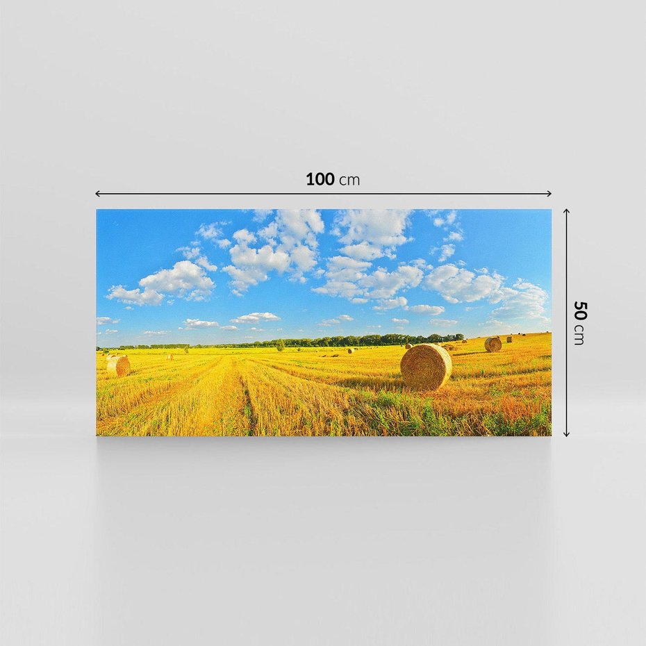 Obraz na płótnie 100x50 - Urok rolnictwa: Trawa w pełnym rozkwicie - rolnictwo, trawa