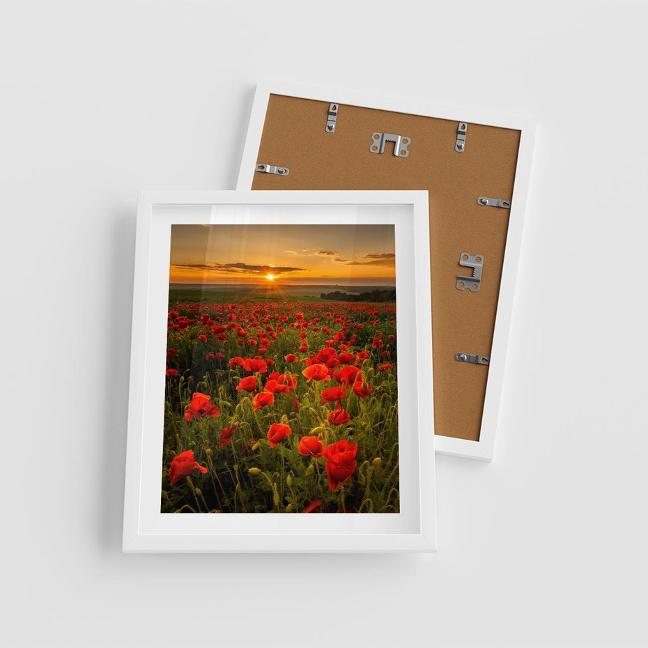 Plakat w ramie 40x50 - Maki przy zachodzie słońca - maki, zachód - rama biała