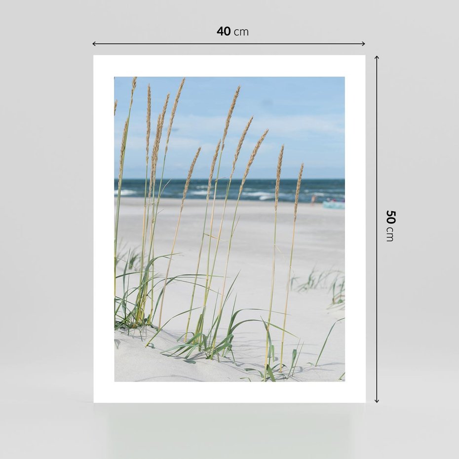 Plakat bez ramy 40x50 - Przytulna Śródziemnomorska Trawa - plaża, trawy