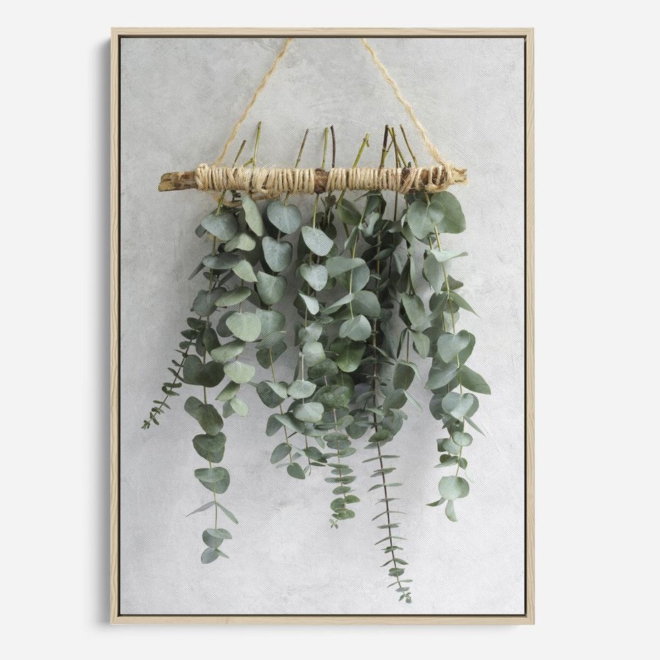 Obraz w ramie 80x120 - Uwodzicielska zieleń eukaliptusa - eukaliptus, zielone - rama drewno